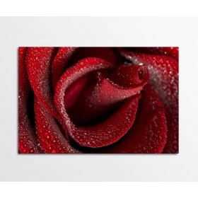 Панно Троянда FP-2000 (120 x 80)