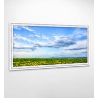 Панно в раме Цветочное поле FP-1685 DJ01 (120 x 65)