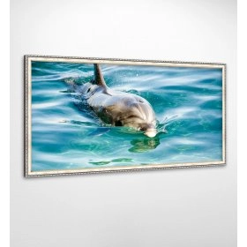 Панно в раме Дельфины FP-788 VI01 (120 x 65)