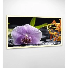 Панно в раме Орхидея FP-1894 AL02 (120 x 65)
