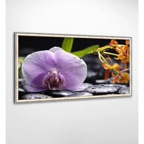 Панно в рамі Орхідея FP-1894 VI01 (120 x 65)