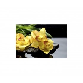 Панно Орхидеи FP-1898 (120 x 80)