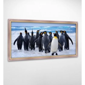 Панно в раме Пингвины FP-1769 MA04 (120 x 65)