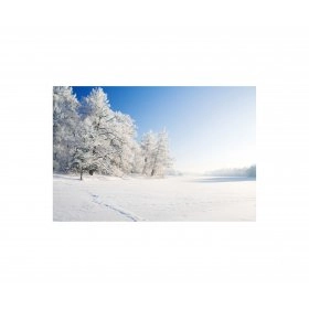 Панно зимовий пейзаж FP-1109 (120 x 80)