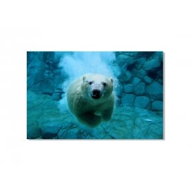 Панно Полярний ведмідь FP-1800 (120 x 80)