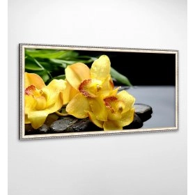 Панно в рамі Орхідеї FP-1898 VI01 (120 x 65)