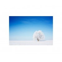 Панно Зимний пейзаж FP-1111 (120 x 80)