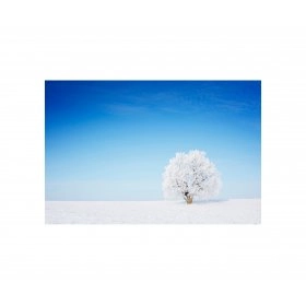 Панно зимовий пейзаж FP-1111 (120 x 80)