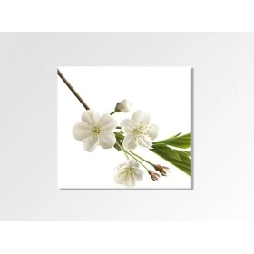 Панно Квітка вишні FP-2043 (70 x 70)