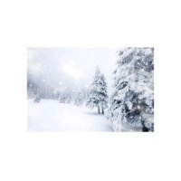 Панно Зимний пейзаж FP-1126 (120 x 80)