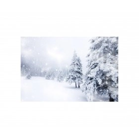 Панно зимовий пейзаж FP-1126 (120 x 80)