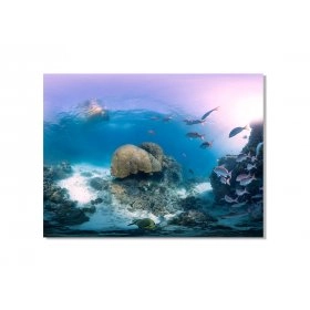Панно Под водой FP-1762 (120 x 80)