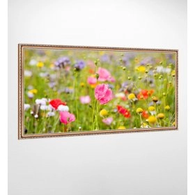 Панно у рамі Польові квіти FP-1993 JAS01 (120 x 65)
