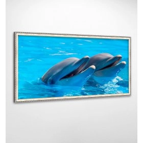 Панно в раме Дельфины FP-784 VI01 (120 x 65)
