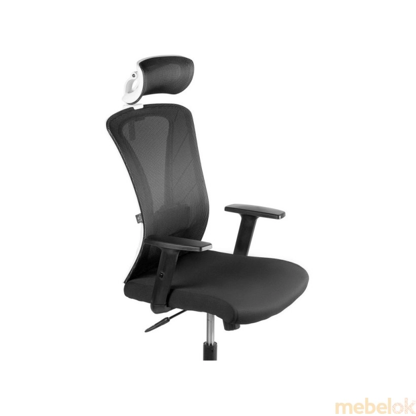 Кресло Mesh (основа черная/спинка