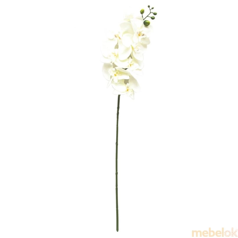 Штучна квітка Орхідея 77 біла
