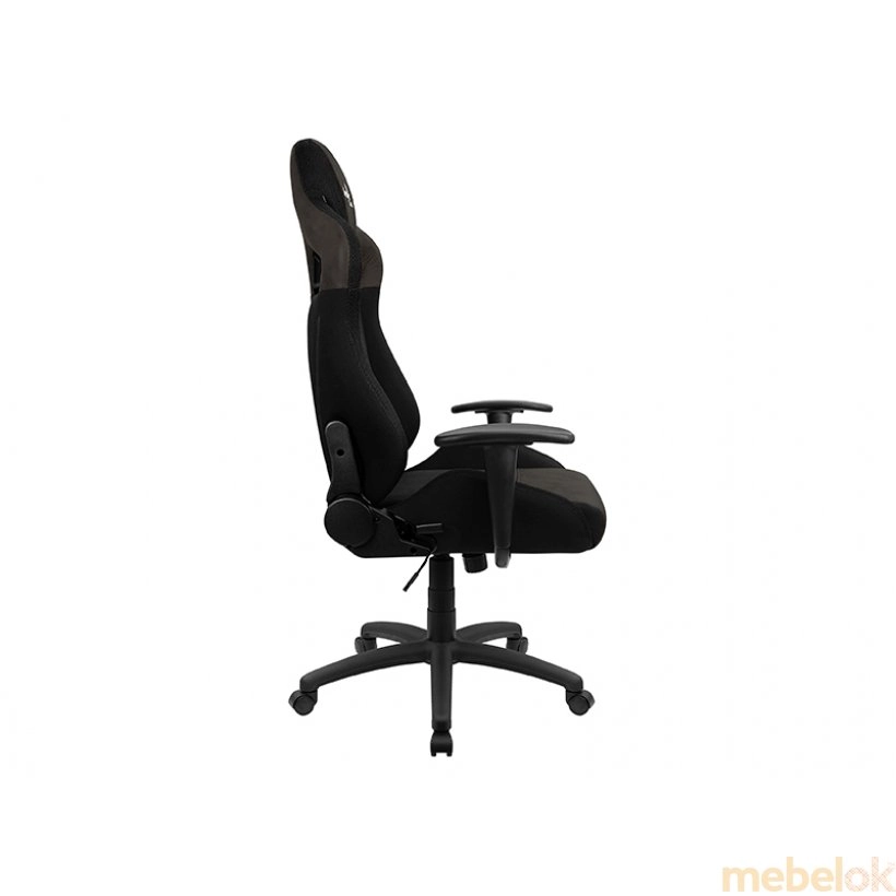 стул с видом в обстановке (Кресло для геймеров EARL Iron Black)