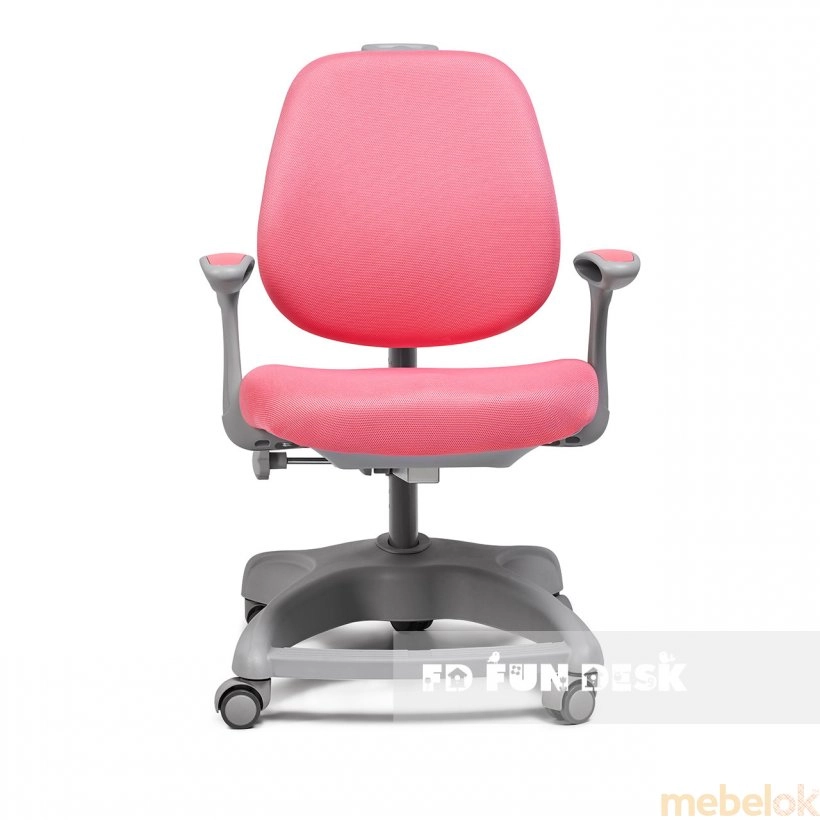 Комплект парта растущая Rimu Pink и кресло Delizia Pink от фабрики FunDesk (ФанДеск)