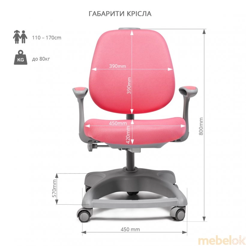 Комплект парта растущая Amare II Grey и кресло Delizia Pink