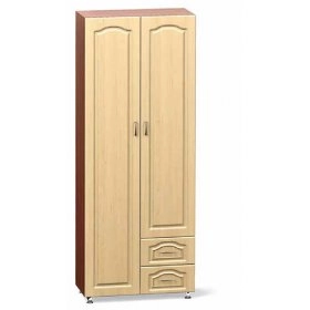 Шкаф 2-х дверный с маленькими ящиками 1-07 90х205 ДСП