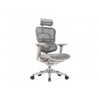 Крісло офісне Ergohuman Luxury Plus Grey EHPL-AG-HAM