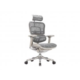 Крісло офісне Ergohuman Luxury Plus Grey EHPL-AG-HAM