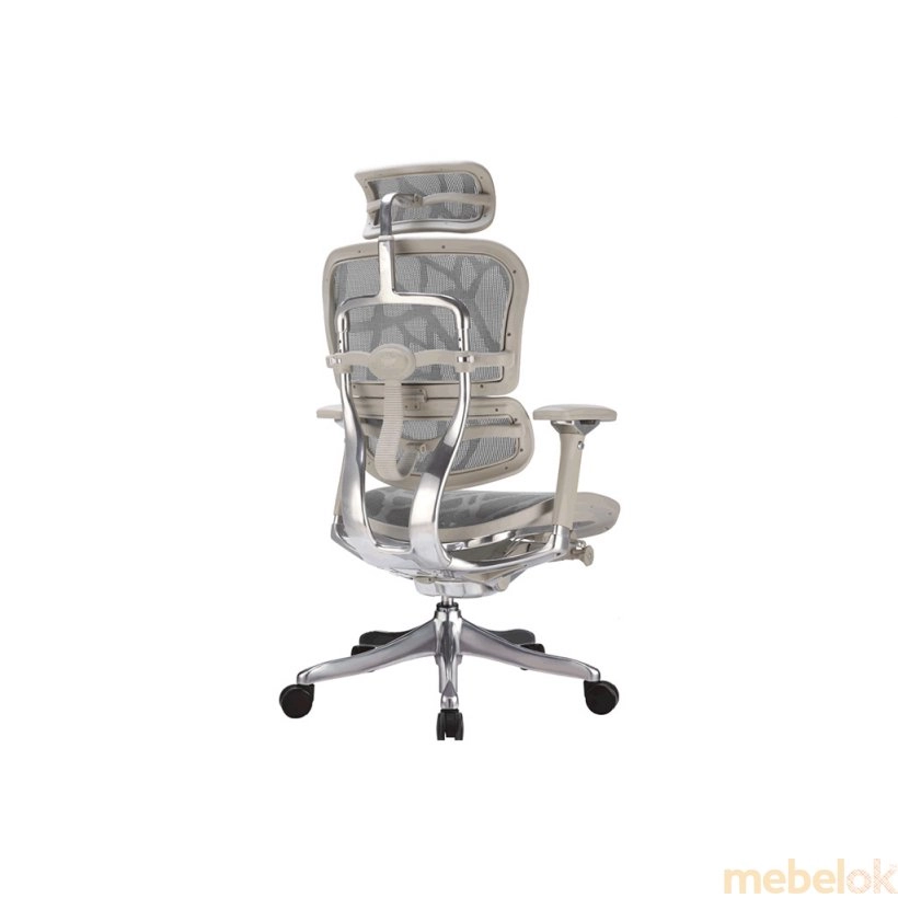стілець з виглядом в обстановці (Крісло офісне Ergohuman Luxury Plus Grey EHPL-AG-HAM)
