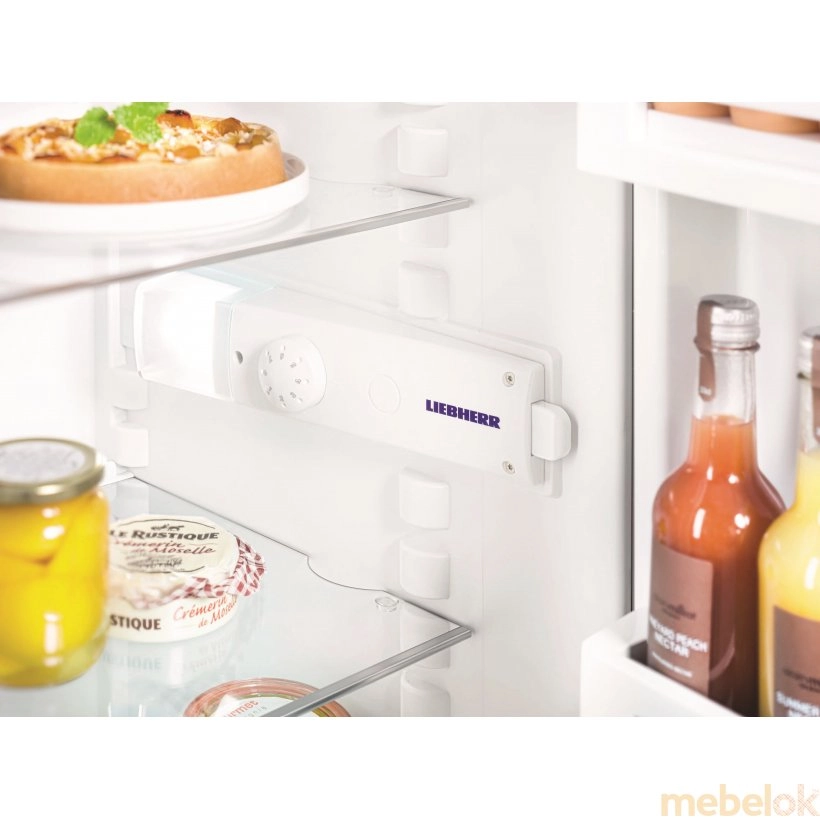 холодильник с видом в обстановке (Холодильник Liebherr Tb 1400)