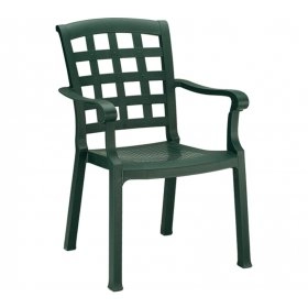 Кресло Паша зеленое