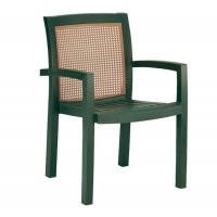 Кресло Вира зеленое