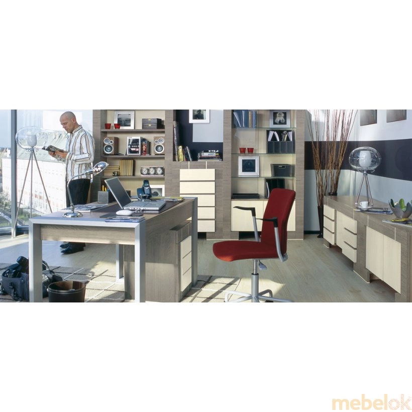 Зеркальное отражение - Рабочий кабинет Modern Home