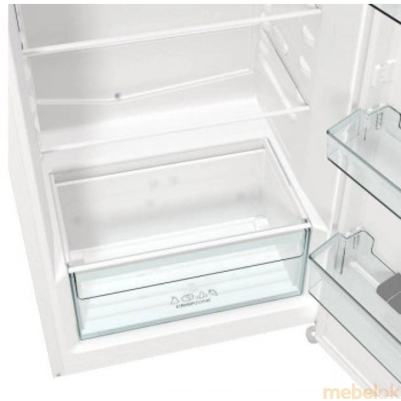 холодильник з виглядом в обстановці (Холодильник Gorenje RB 615 FEW5)