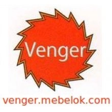  Ліжка для підлітка Венгер (Venger)