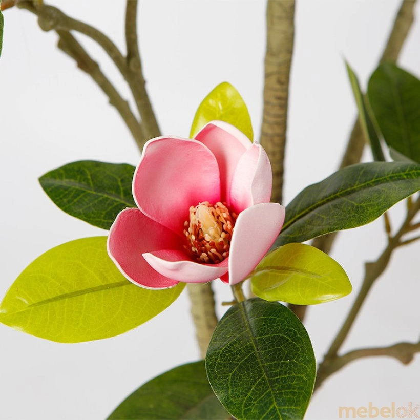 Искусственное растение Magnolia 150 (DW-18) от фабрики Engard (Энгард)