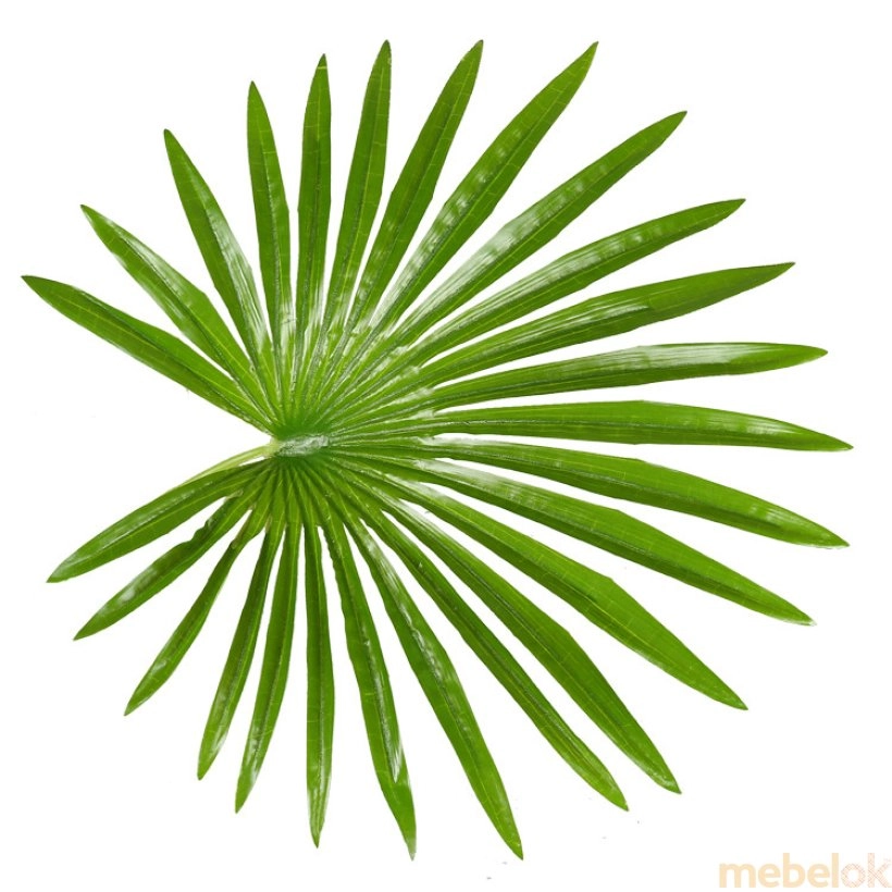 Штучна рослина Fan Palm 120 з іншого ракурсу