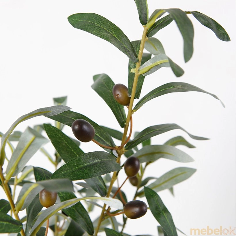 рослини з виглядом в обстановці (Штучна рослина Olive tree 80)