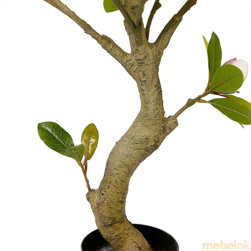 рослини з виглядом в обстановці (Штучна рослина Magnolia 150 (DW-19))