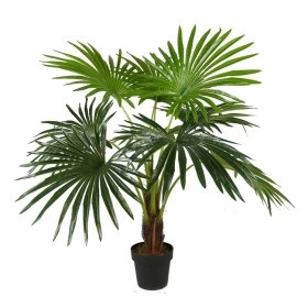 Искусственное растение Fan Palm