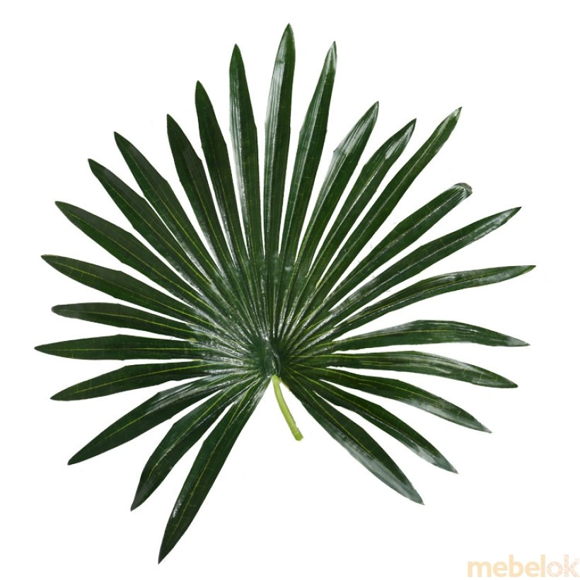 рослини з виглядом в обстановці (Штучна рослина Fan Palm 120)