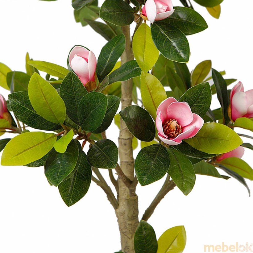 Штучна рослина Magnolia 150 (DW-19) від фабрики Engard (Енгард)