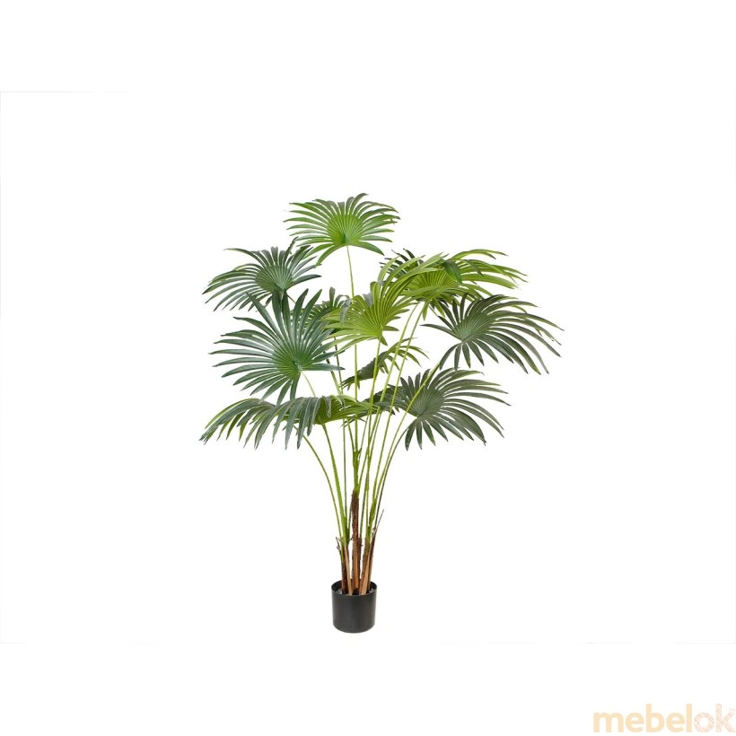 Штучна рослина Fan Palm 150