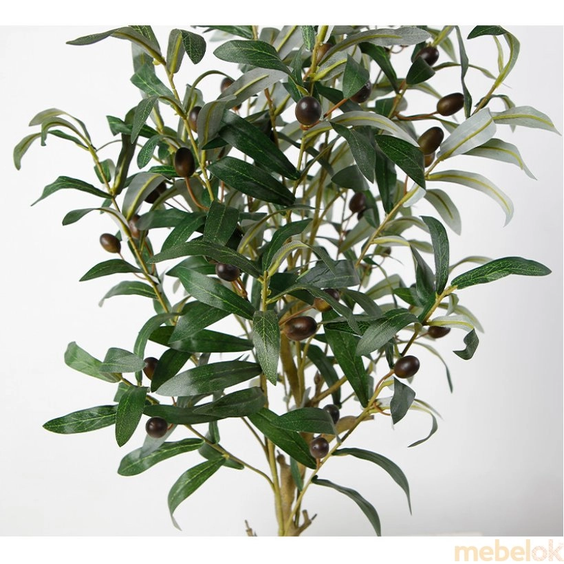 Штучна рослина Olive tree 80 від фабрики Engard (Енгард)