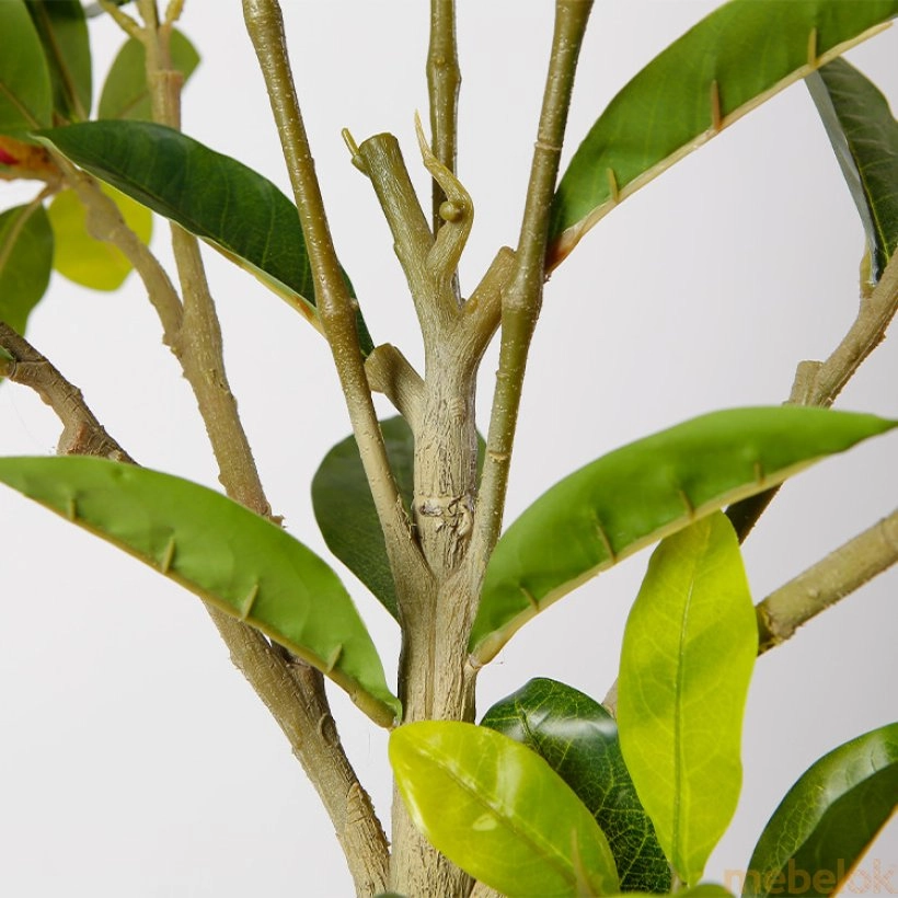 растение с видом в обстановке (Искусственное растение Magnolia 150 (DW-18))
