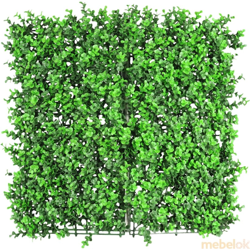 Декоративное зеленое покрытие Самшит 50х50