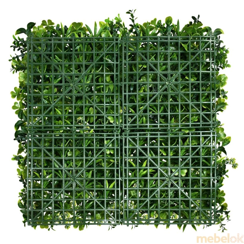 растение с видом в обстановке (Декоративное зеленое покрытие Патио микс 50х50)